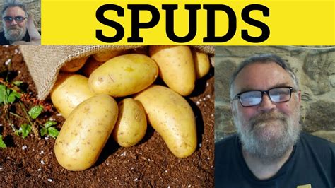 spud meaning slang.